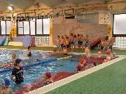 スイミング教室