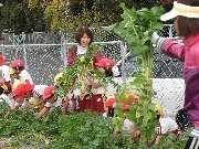 地域の住民と触れあう活動