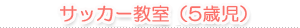 サッカー教室 (5歳児)